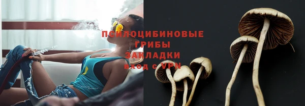трава Баксан