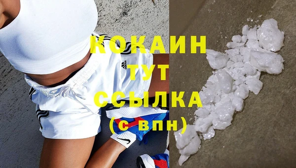 шишки Арсеньев