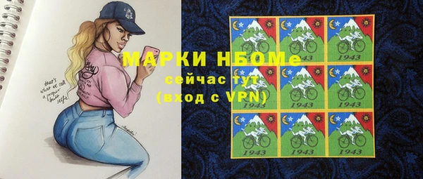 шишки Арсеньев