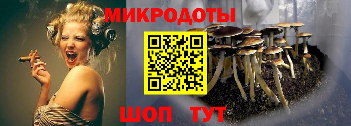 Галлюциногенные грибы ЛСД Канаш